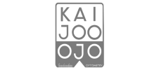 OJO Optometry D-Mark Google Ads Management Client